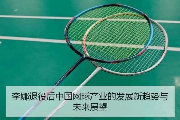 li-na-tui-yi-hou-zhong-guo-wang-qiu-chan-ye-de-fa-zhan-xin-qu-shi-yu-wei-lai-zhan-wang-2-561.jpg