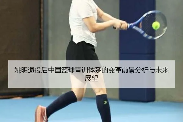 yao-ming-tui-yi-hou-zhong-guo-lan-qiu-qing-xun-ti-xi-de-bian-ge-qian-jing-fen-xi-yu-wei-lai-zhan-wang-2-492.jpg