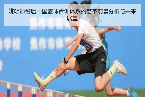 姚明退役后中国篮球青训体系的变革前景分析与未来展望