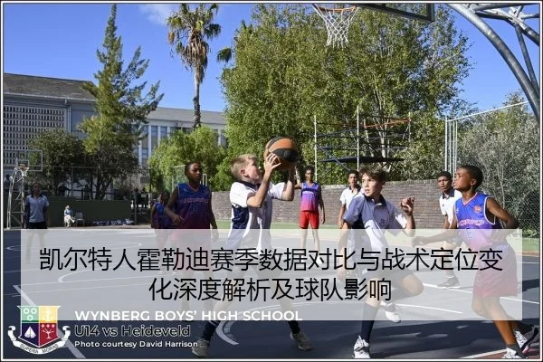 凯尔特人霍勒迪赛季数据对比与战术定位变化深度解析及球队影响