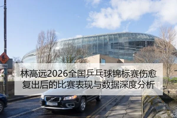 林高远2026全国乒乓球锦标赛伤愈复出后的比赛表现与数据深度分析